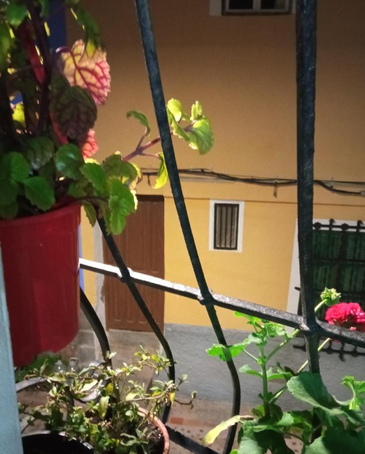 Vivienda De 80M Cuadrados A Dos Minutos Del Mar Appartement Villajoyosa Buitenkant foto